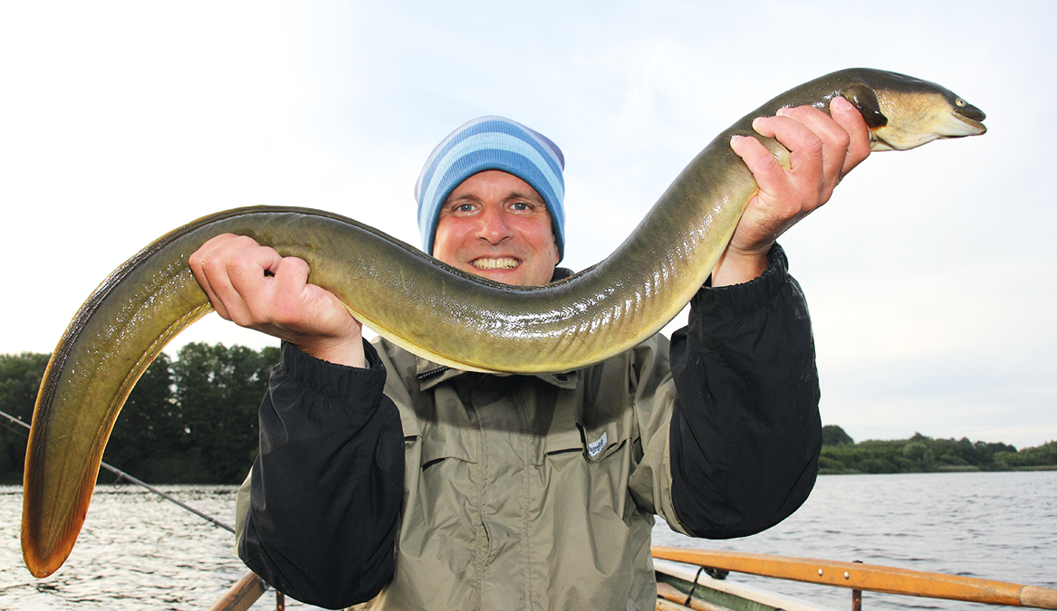 Kaptiale Aale: Jagd auf den Großaal - SKIPPER Bootshandel